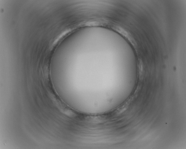 X0000071960297200607282040