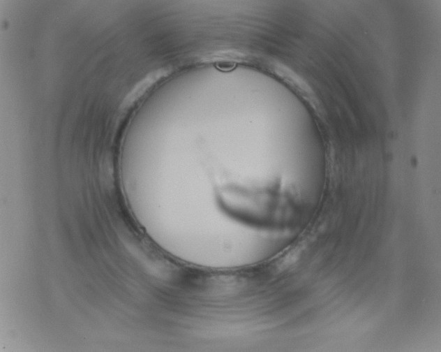 X0000071960298200607282040