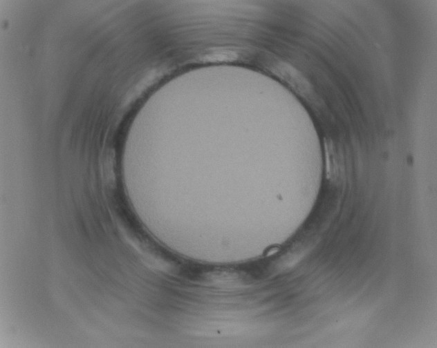 X0000071960300200607282040