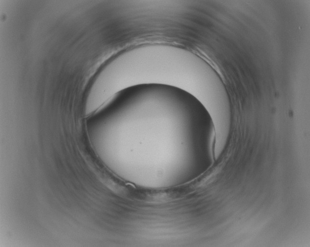 X0000071960301200607282040