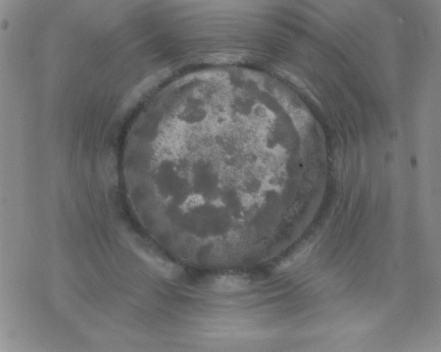 X0000071960303200607282040