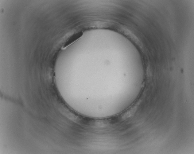 X0000071960305200607282040