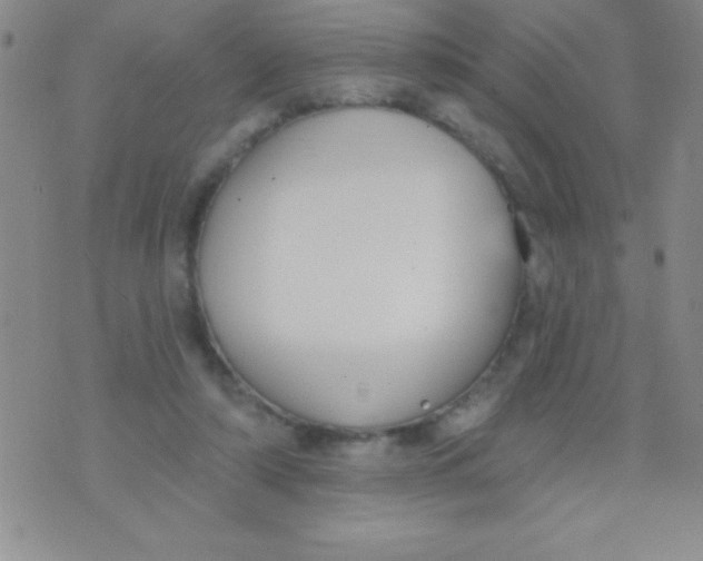 X0000071960306200607282040