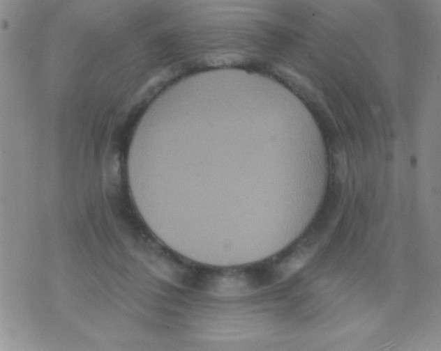 X0000071960308200607282040