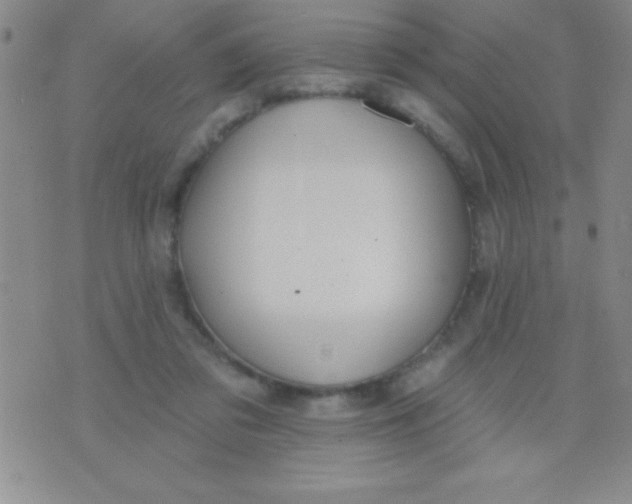 X0000071960309200607282040