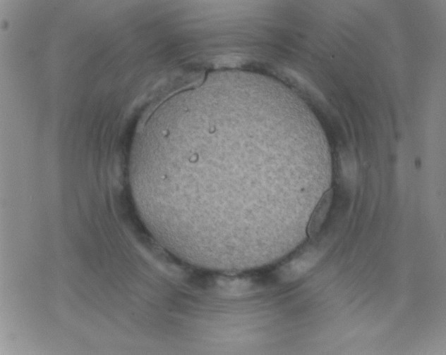 X0000071960311200607282040