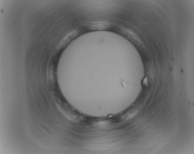 X0000071960312200607282040