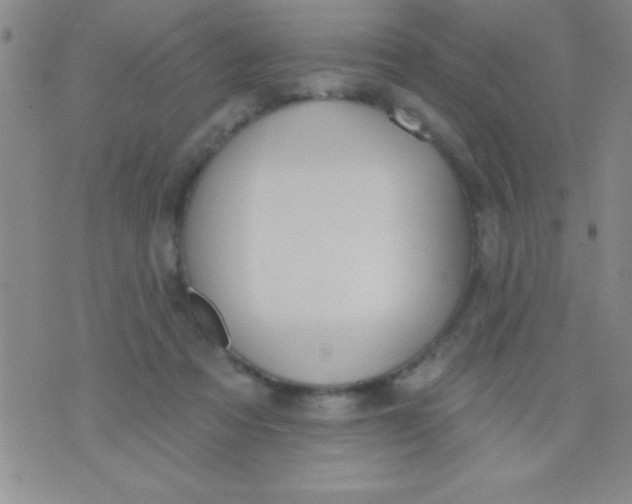 X0000071960313200607282040