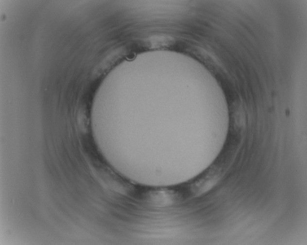 X0000071960316200607282040