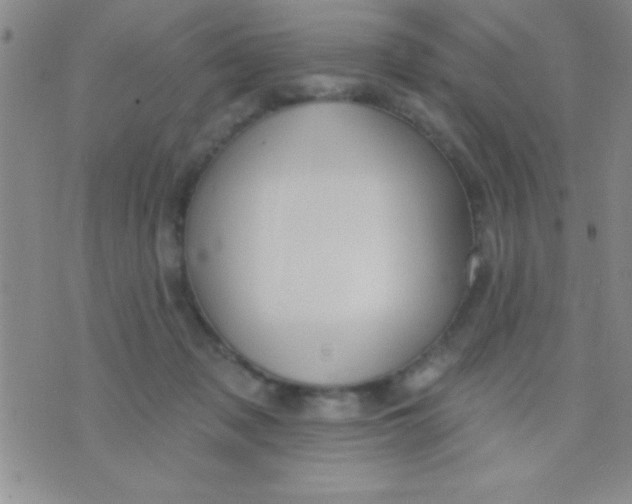 X0000071960317200607282040