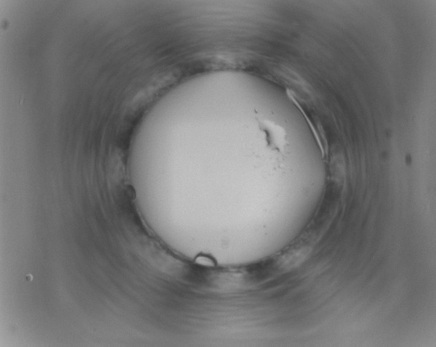 X0000071960318200607282040