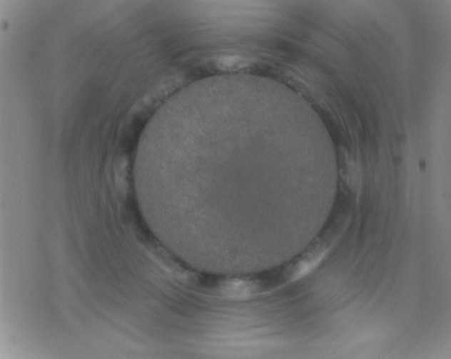 X0000071960319200607282039