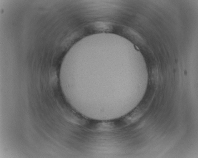 X0000071960320200607282039