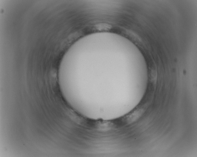 X0000071960321200607282039