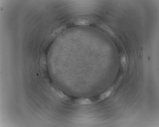 X0000071960322200607282039