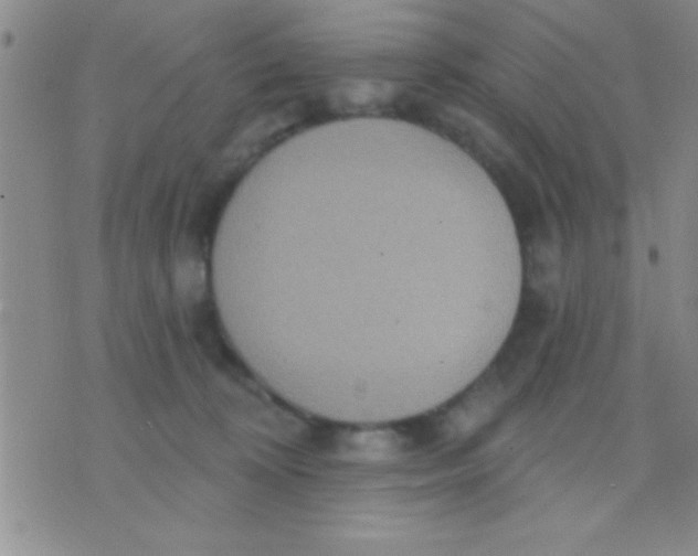 X0000071960324200607282039