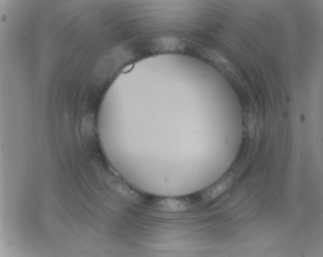 X0000071960326200607282039