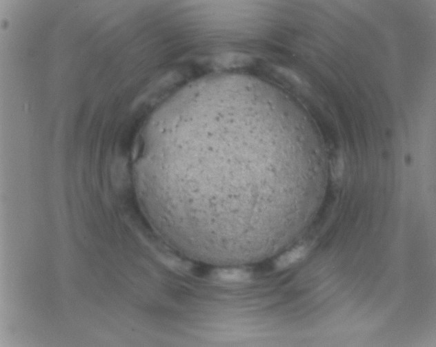 X0000071960327200607282039