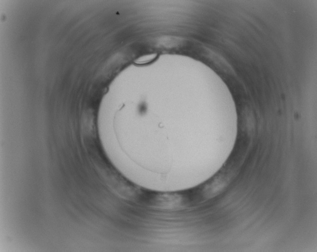 X0000071960328200607282039