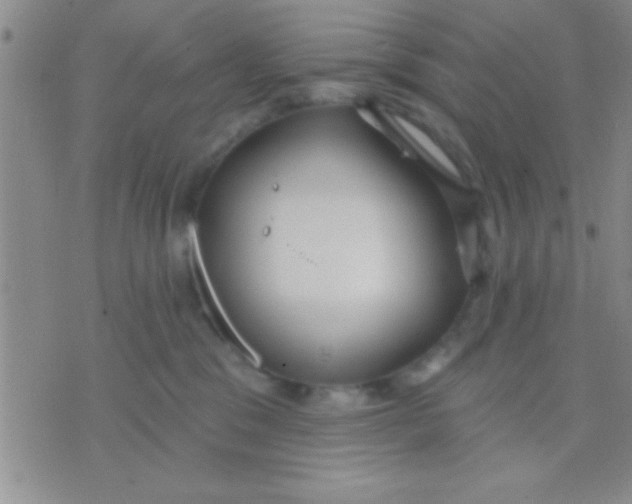 X0000071960329200607282039