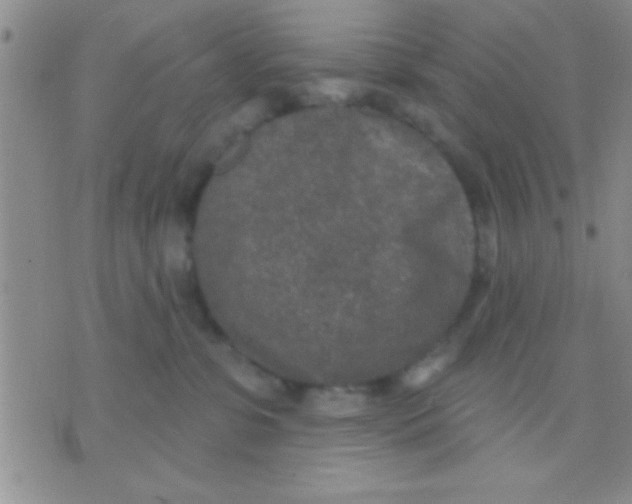 X0000071960331200607282039