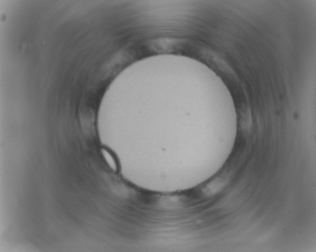 X0000071960332200607282039