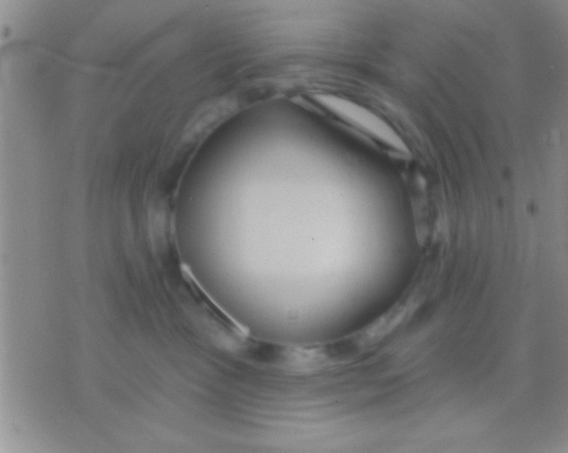 X0000071960333200607282039