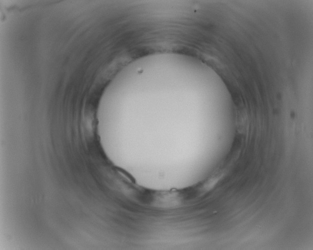 X0000071960334200607282039