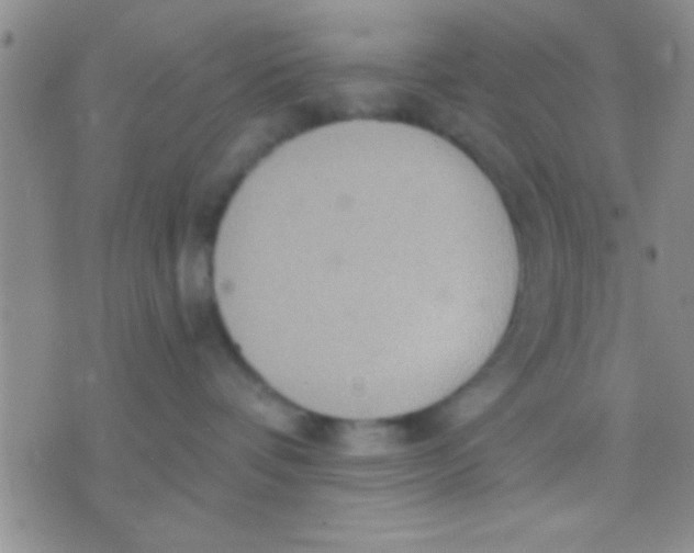 X0000071960336200607282039