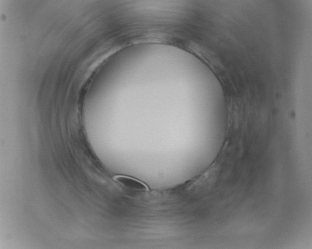 X0000071960338200607282038