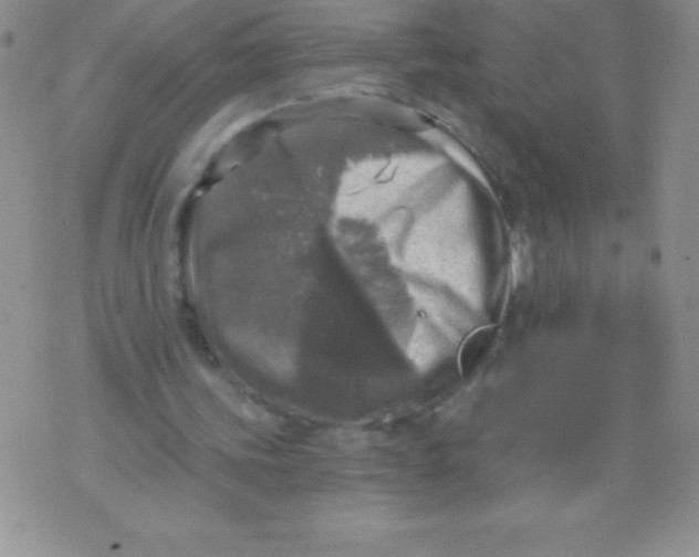 X0000071960339200607282038