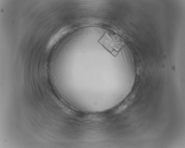 X0000071960341200607282039