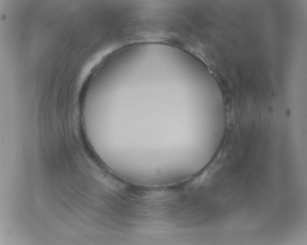 X0000071960342200607282039