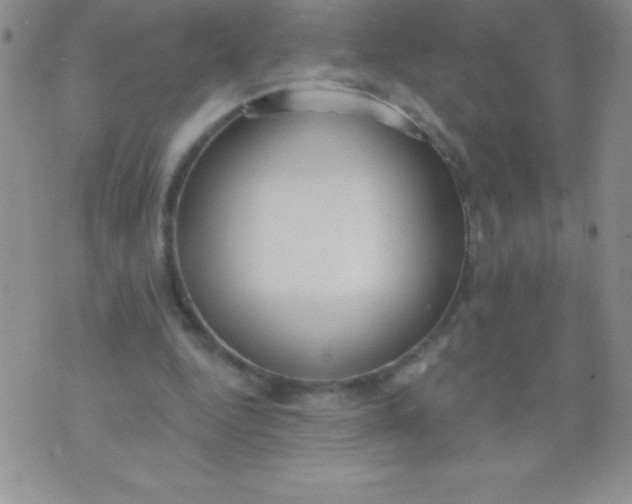 X0000071960344200607282039