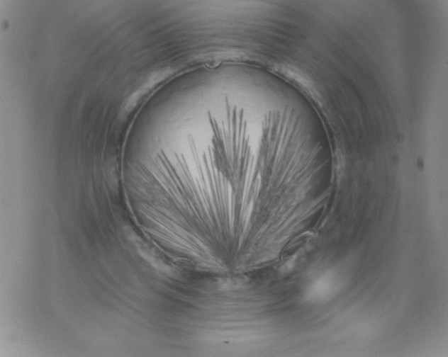 X0000071960345200607282039