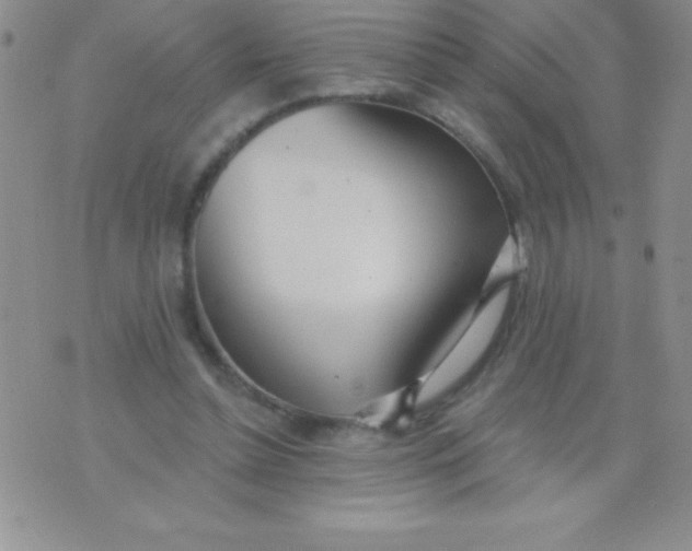 X0000071960348200607282039