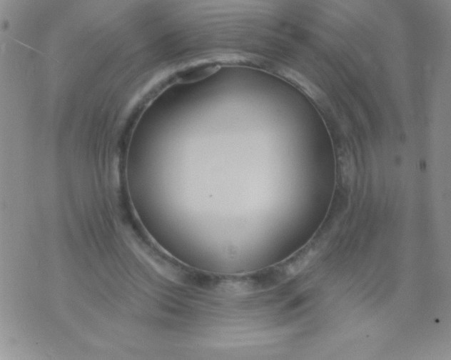 X0000071960350200607282039