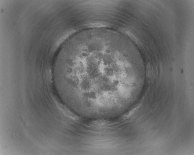 X0000071960351200607282039