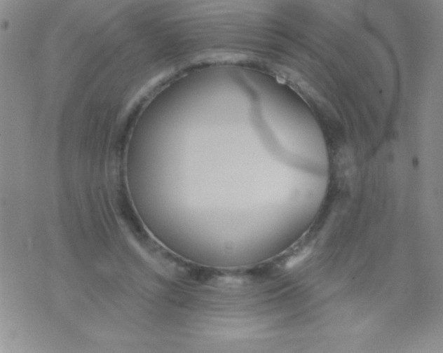 X0000071960352200607282039