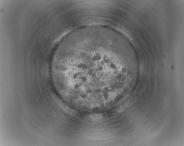 X0000071960353200607282039