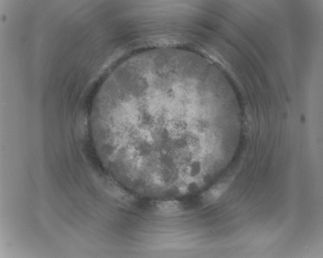 X0000071960355200607282039