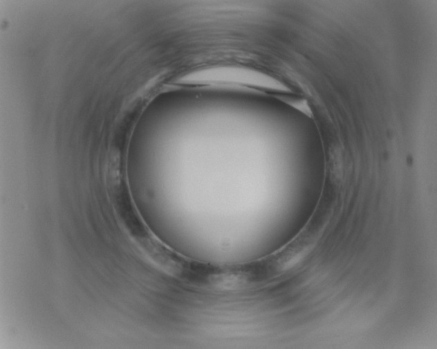 X0000071960356200607282039