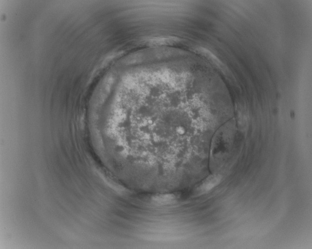 X0000071960357200607282039