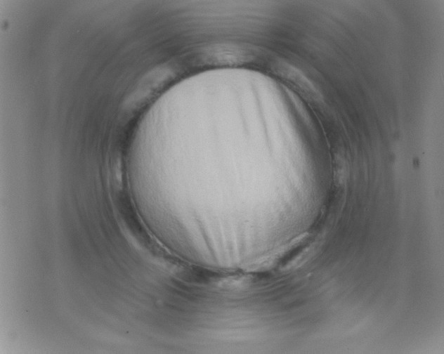 X0000071960358200607282039