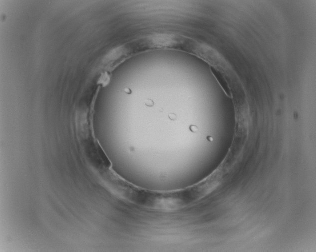 X0000071960360200607282039