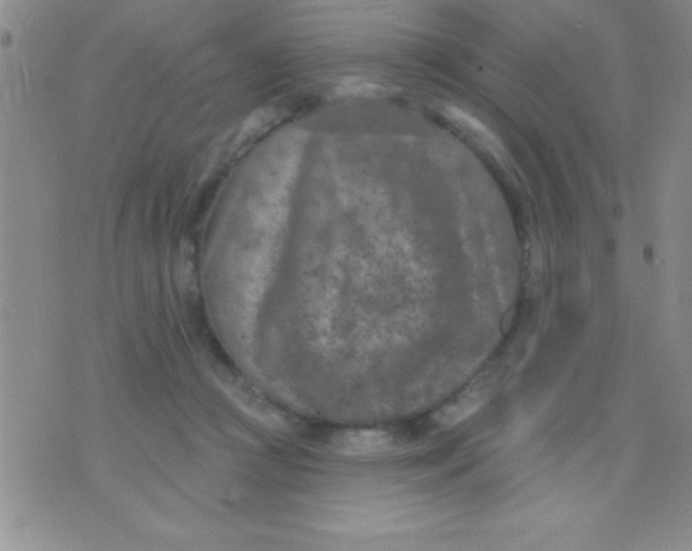 X0000071960361200607282039