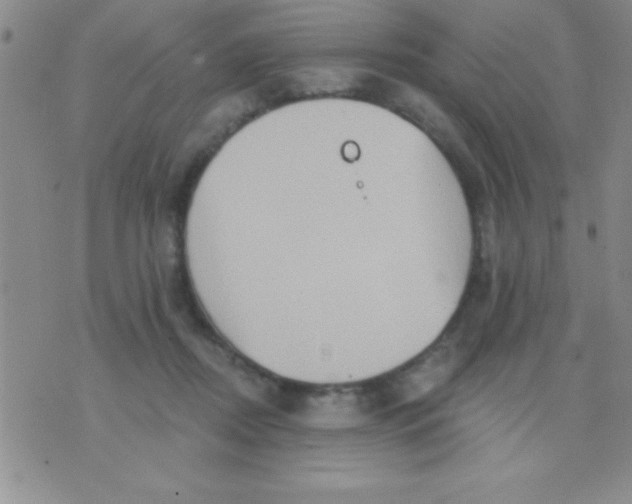 X0000071960362200607282039