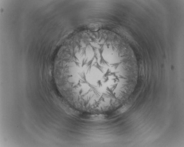 X0000071960363200607282039