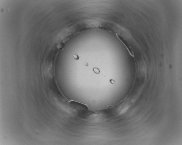 X0000071960364200607282039