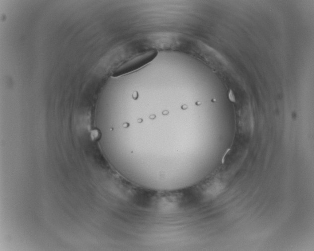 X0000071960368200607282039